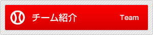 チーム紹介